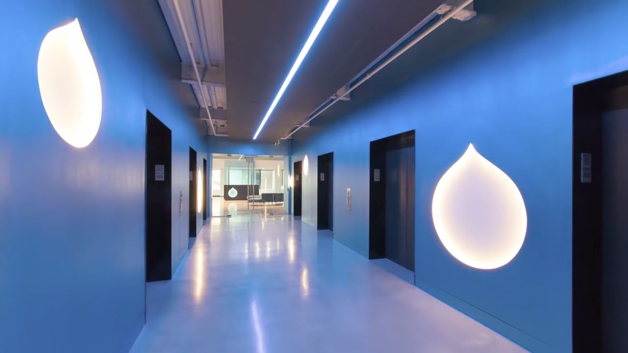 Acquia HQ entrance A modern office entrance with blue walls, illuminated droplet logos, and elevators on both sides.